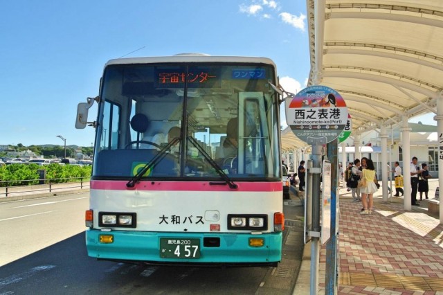 Tanegashima07