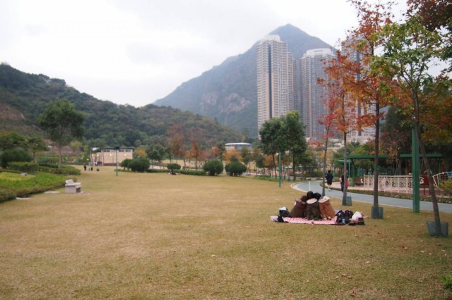 第十一個 紅葉 景點 九龍 觀塘 香港 清水灣道 佐敦谷公園 草地