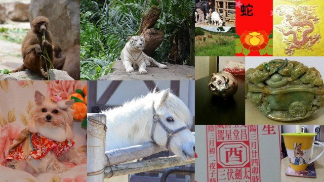 12animal sign fate